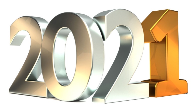 2020 into 2021 | curiousfenelon